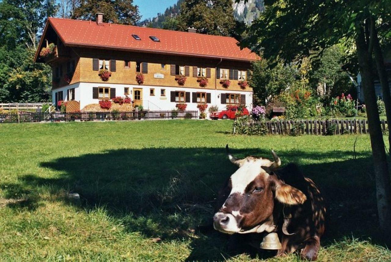 Gaestehaus Hedwig Bad Hindelang Exterior photo